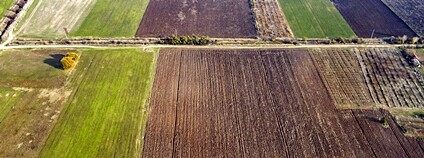 Letecký pohled na pole Foto: Depositphotos